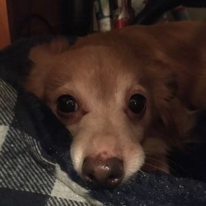 Meet your Posher, Haley